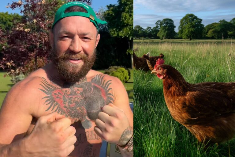 conor-mcgregor-682f6e9a1a0e8-768x512