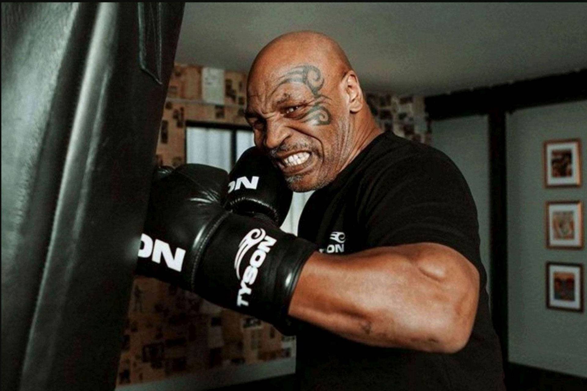 mike-tyson-682426bf54d5e