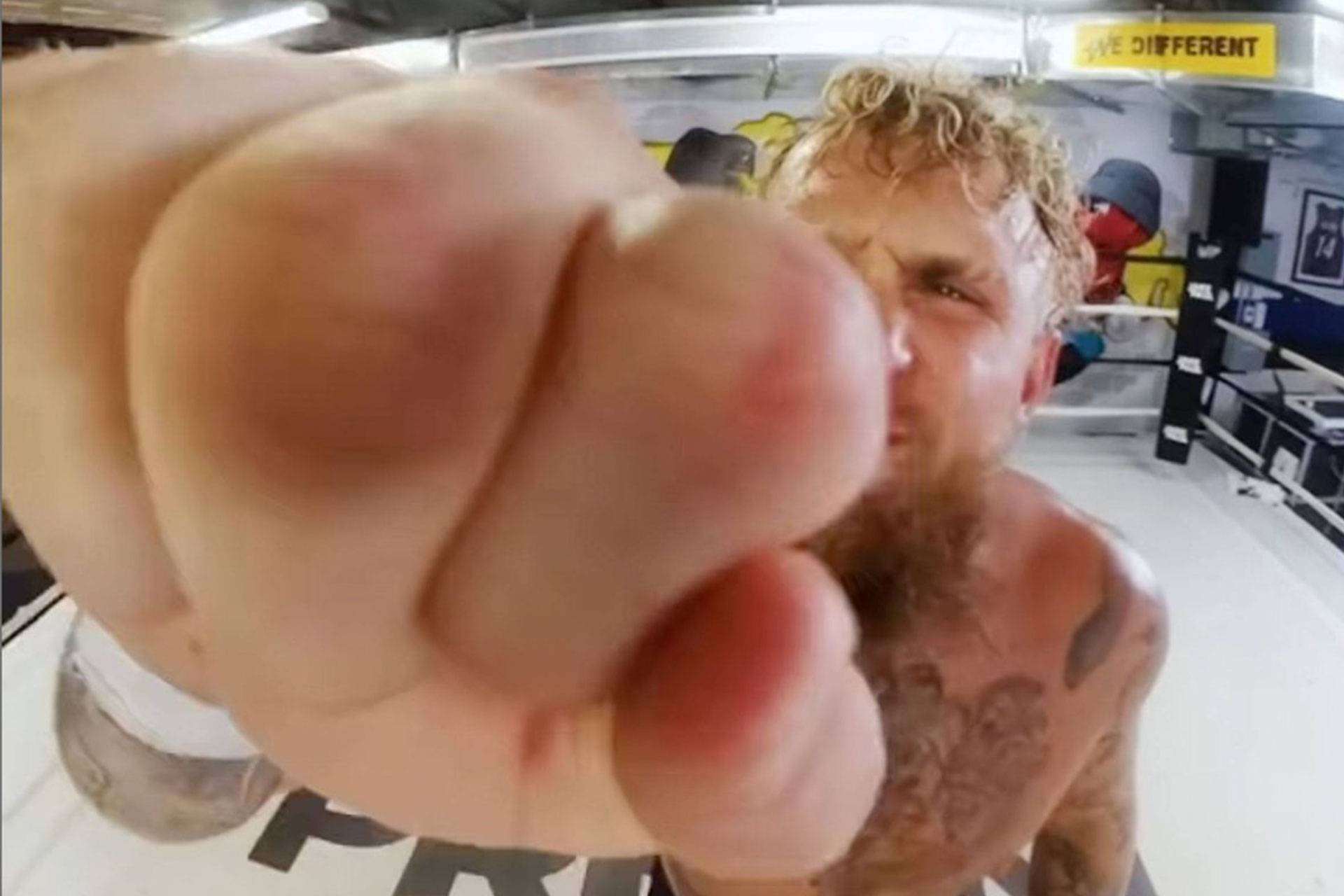jake-paul-686199237940b