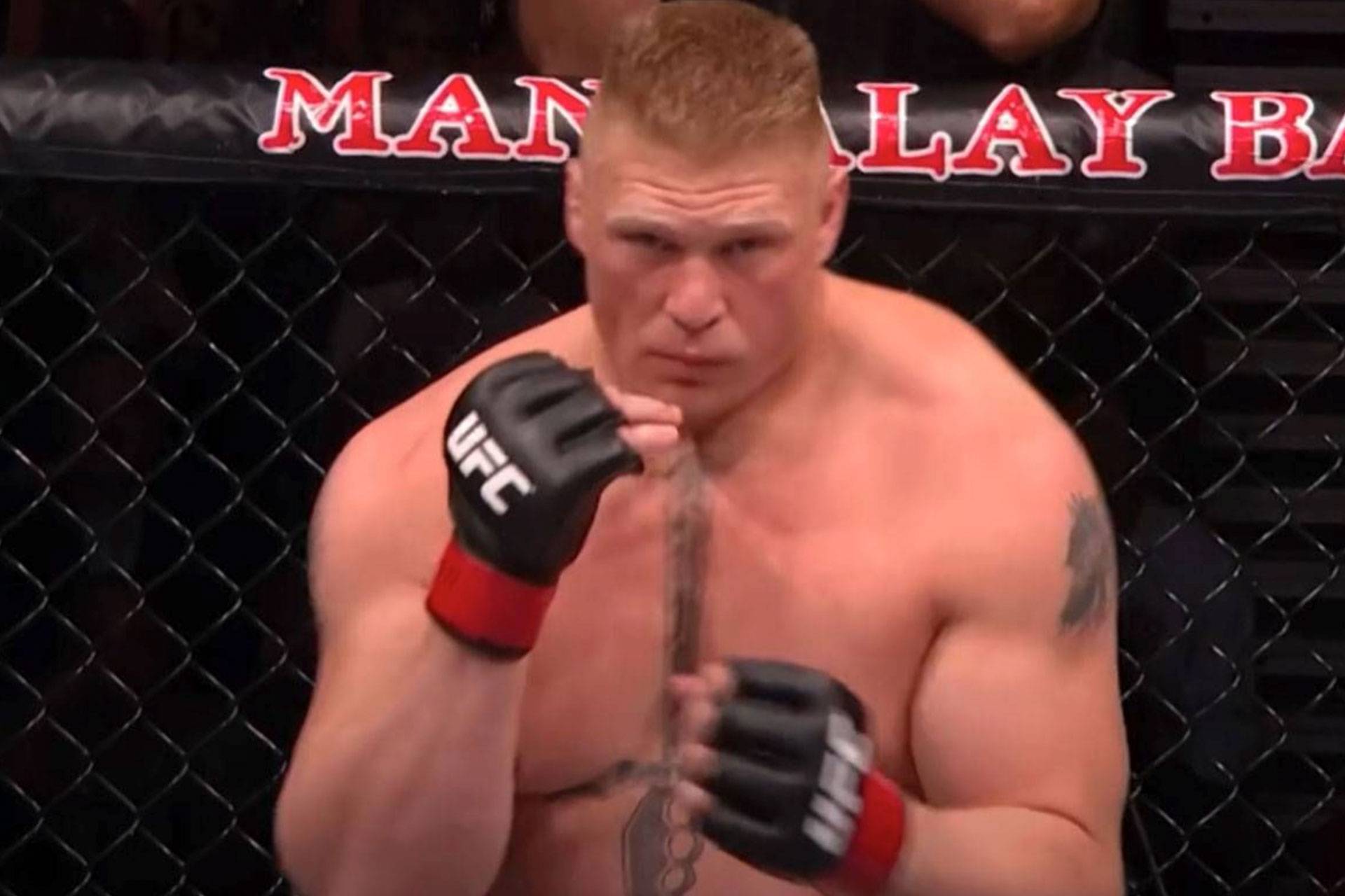 brock-lesnar-689050bbf0a57