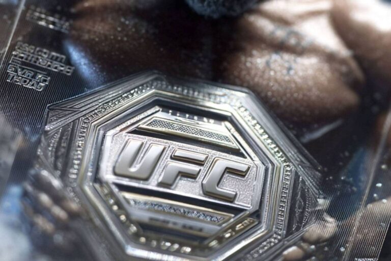 ufc-68ed578fac90a-768x512