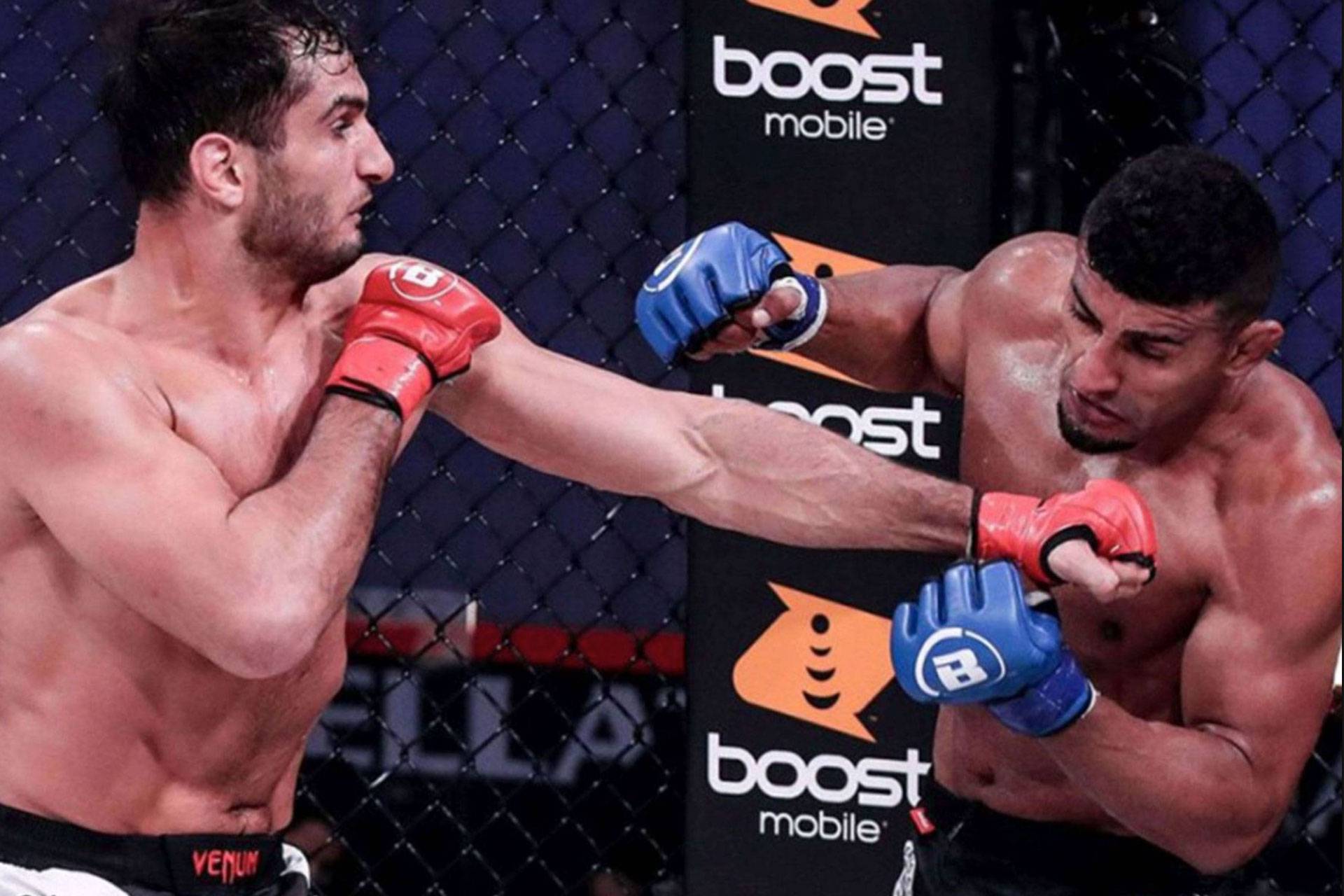mma-692c0e7b5e87d