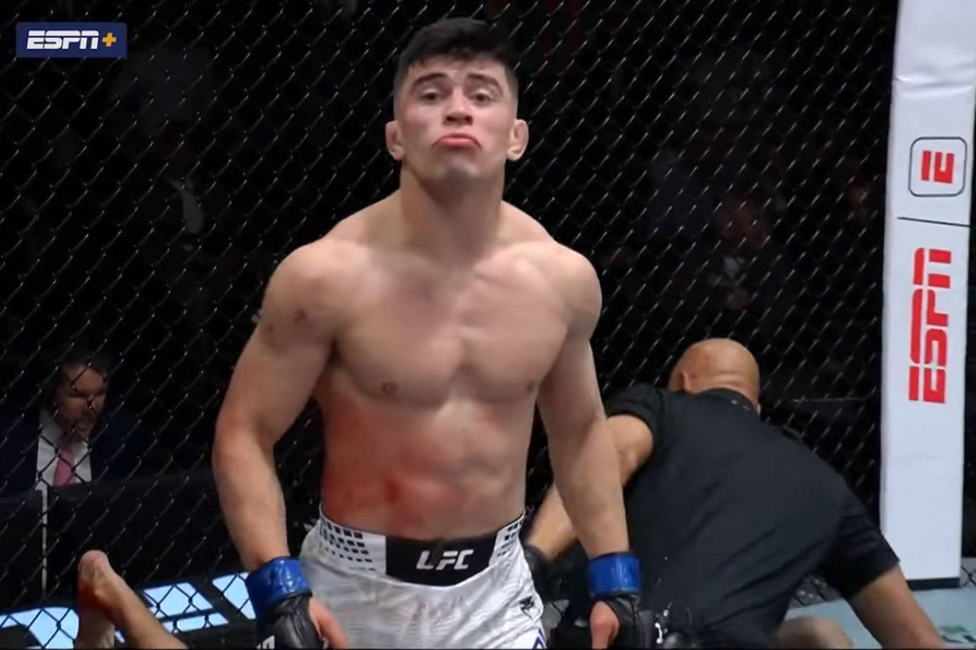 ufc-693ec009dca67