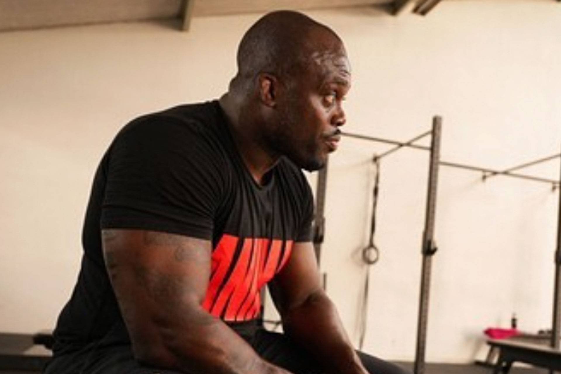 melvin-manhoef-6974e31944035