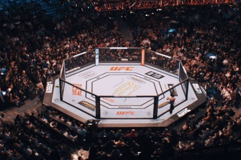 ufc-6967de9e5fc61-768x512