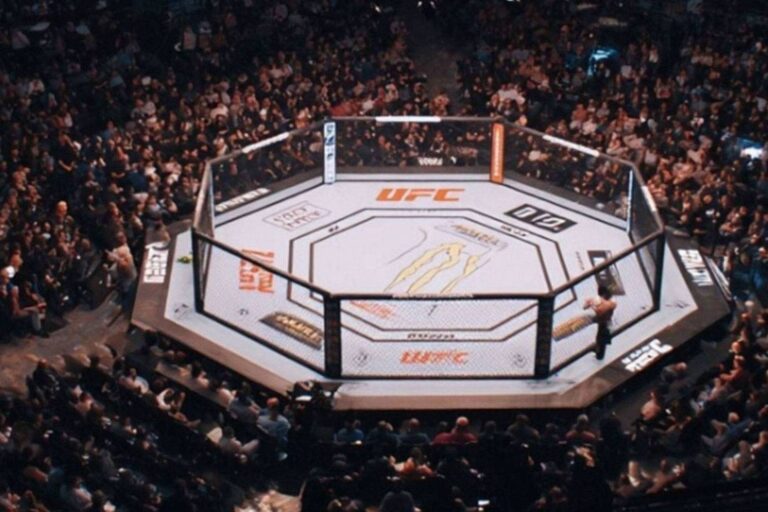ufc-697535c888b59-768x512