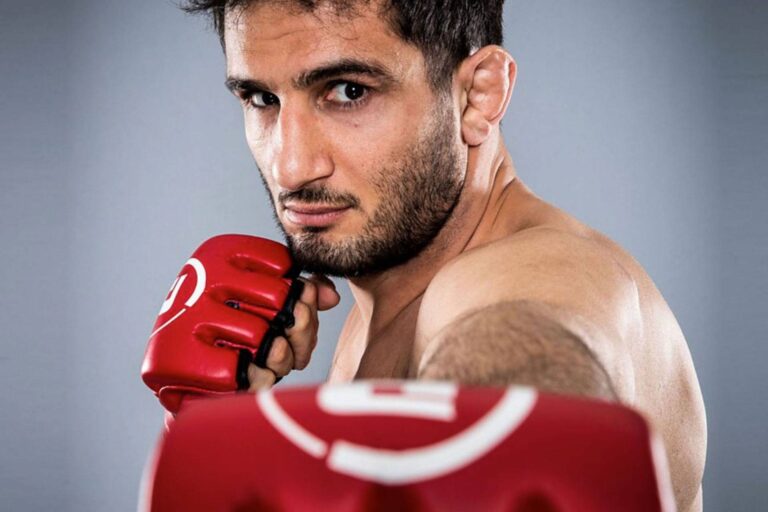 gegard-mousasi-6999ee00d3501-768x512