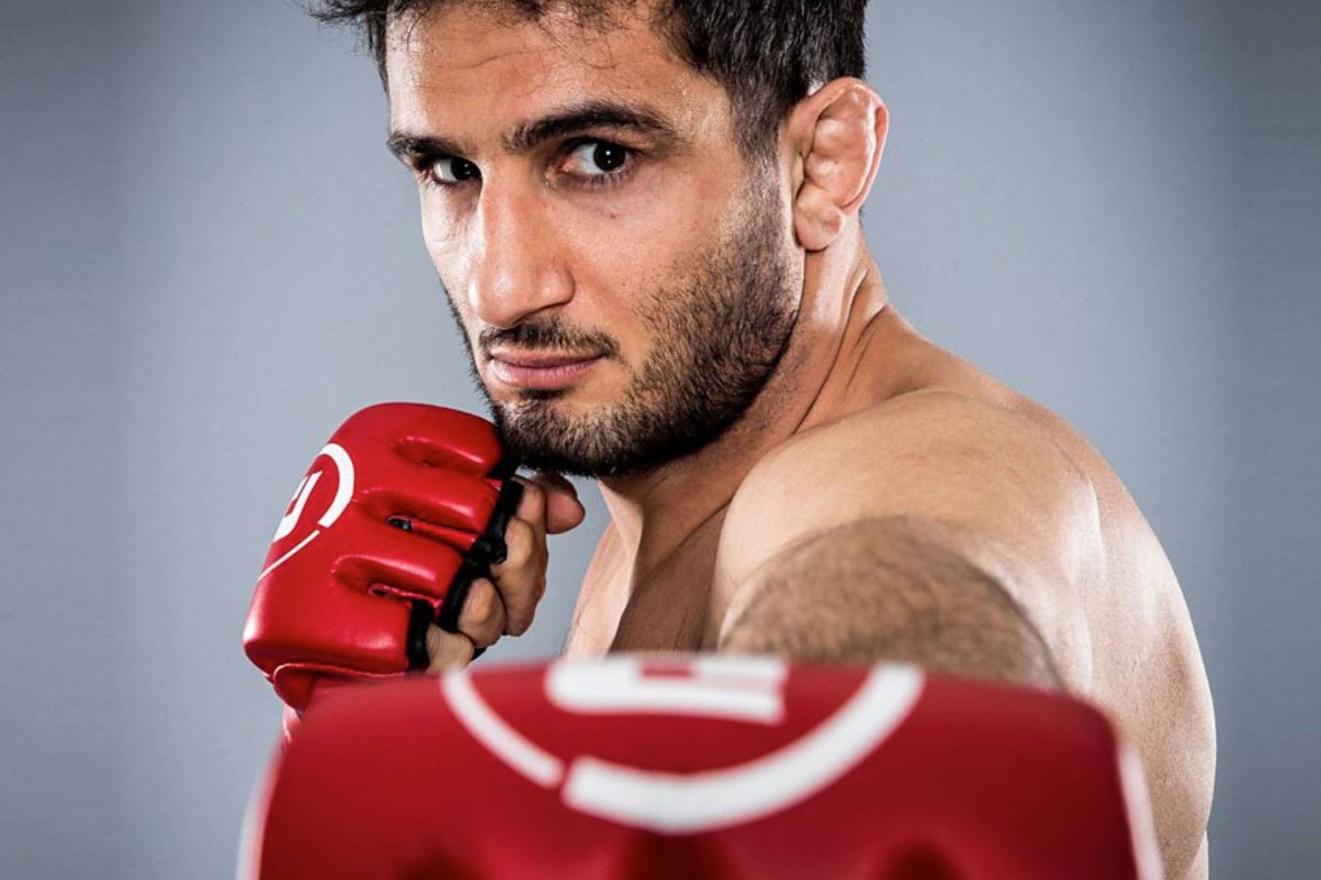 gegard-mousasi-6999ee00d3501