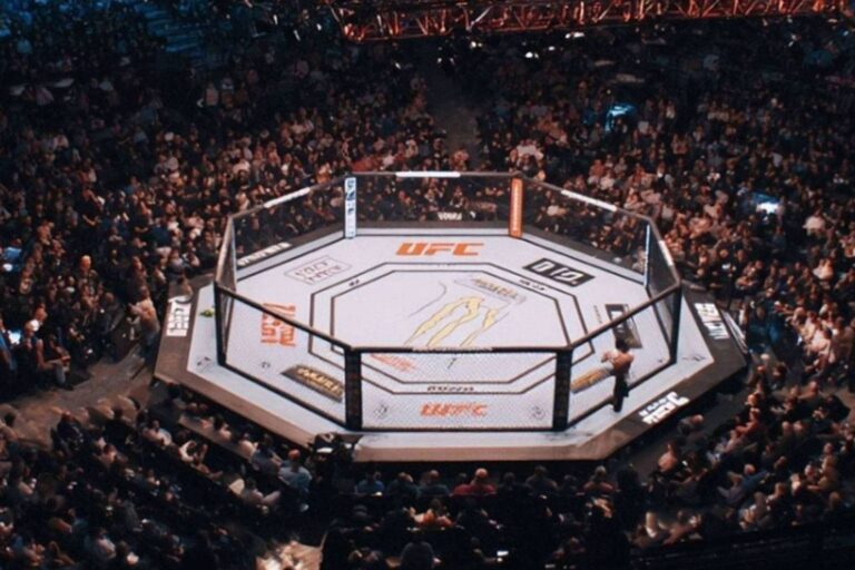 ufc-69a4086b1d34a-768x512