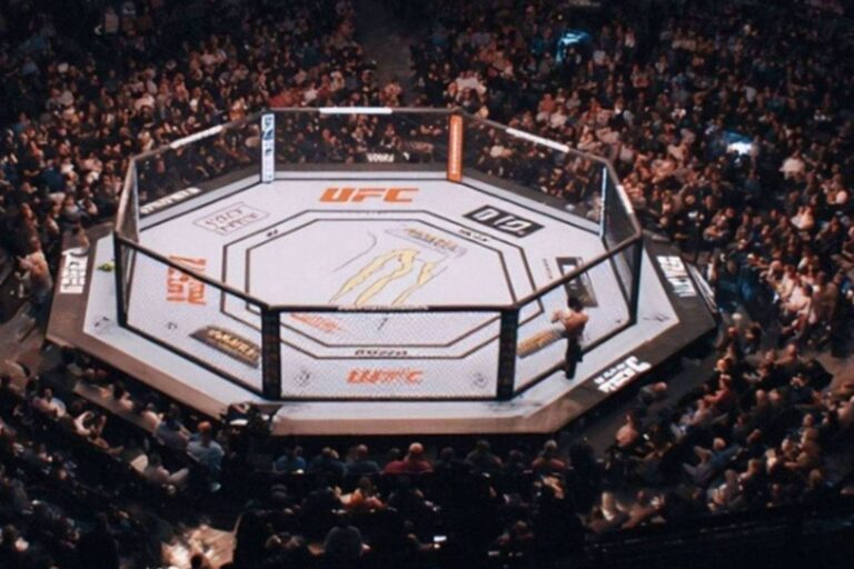 ufc-69bd2661b4eb1-768x512