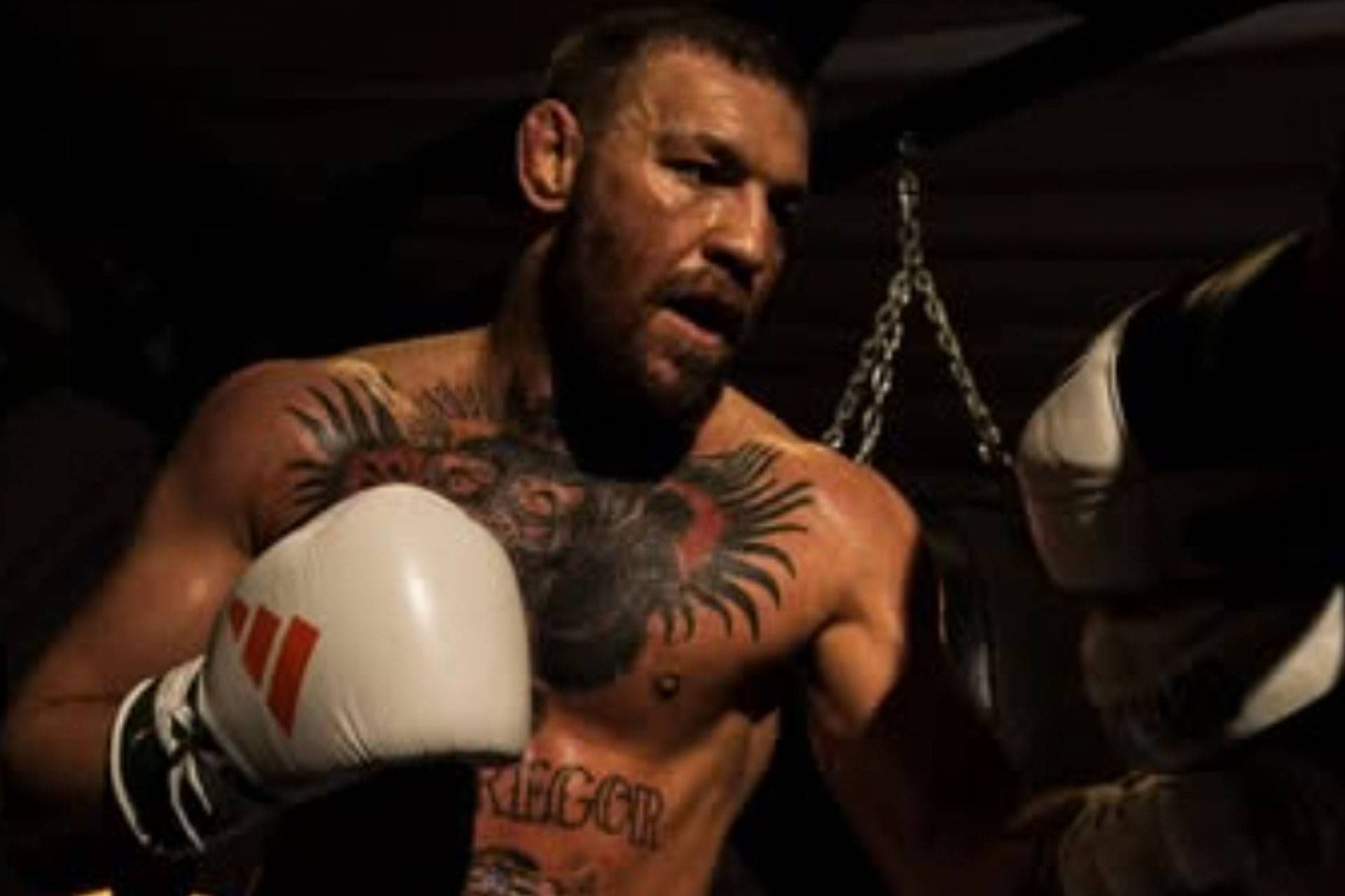 conor-mcgregor-bokscomeback-69d033386a782