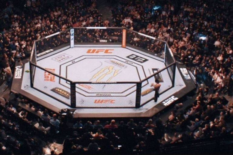 ufc-69e256a9d2a3d-768x512