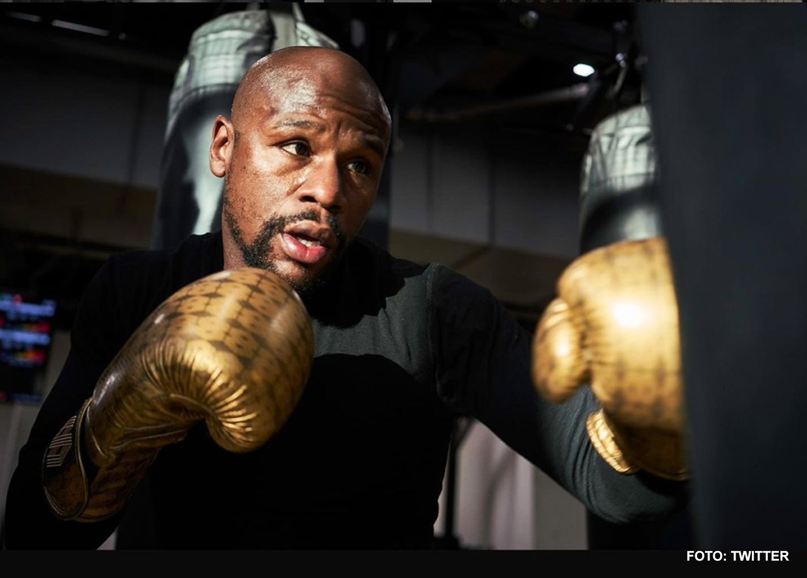 Floydmayweather-63d0124376ed9