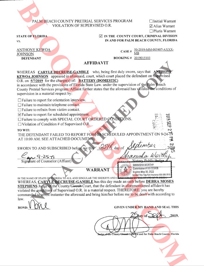 Johnson_warrant-63d020db25a55