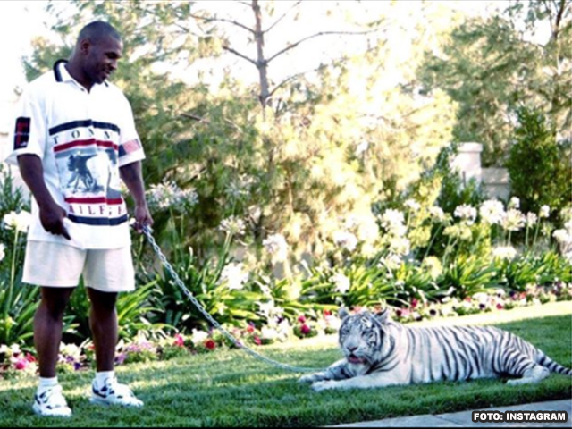 Mike-tyson-63d01e7fb9a8b