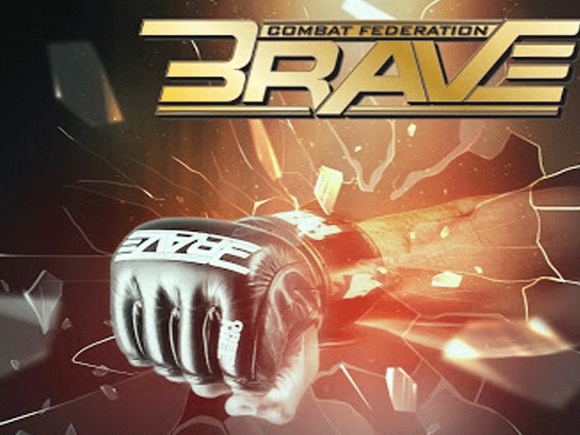 brave-1-63d01cb768397