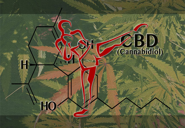 canna-63d01d75432f5
