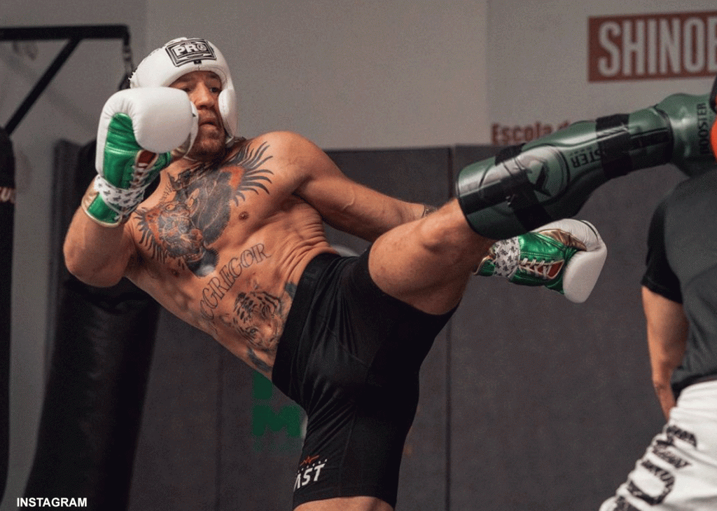 conor-mcgregor-8-1024×729-63d01ae59003e