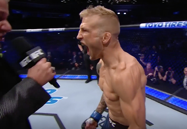 dillashaw-63d0230c22d30