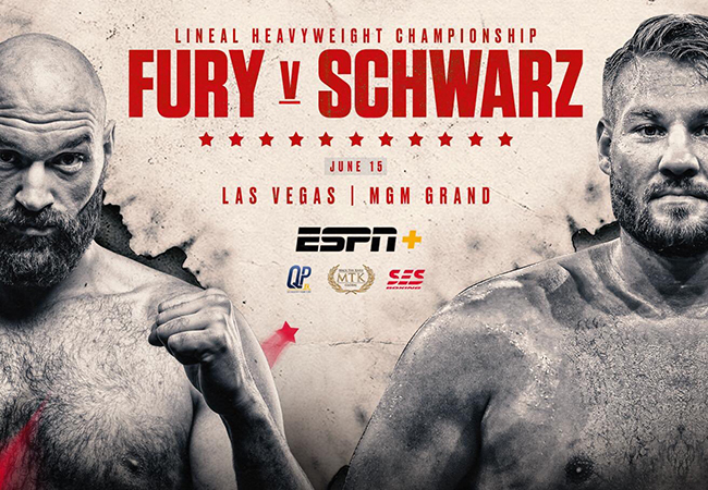 fury-shwartz-63d022d524604