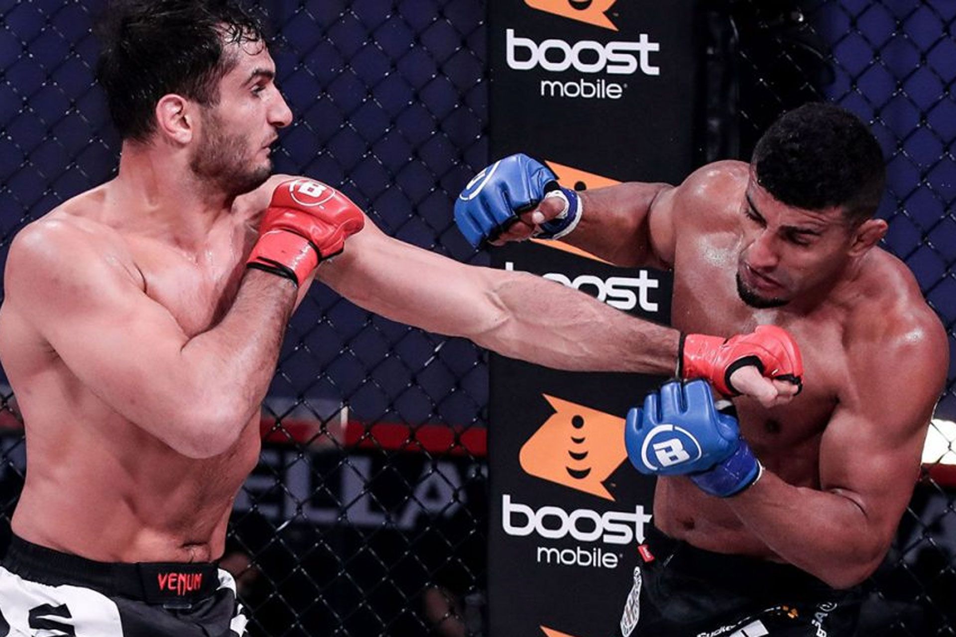 gegard mousasi