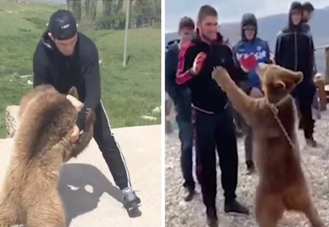 khabib-63d020fda2a4e
