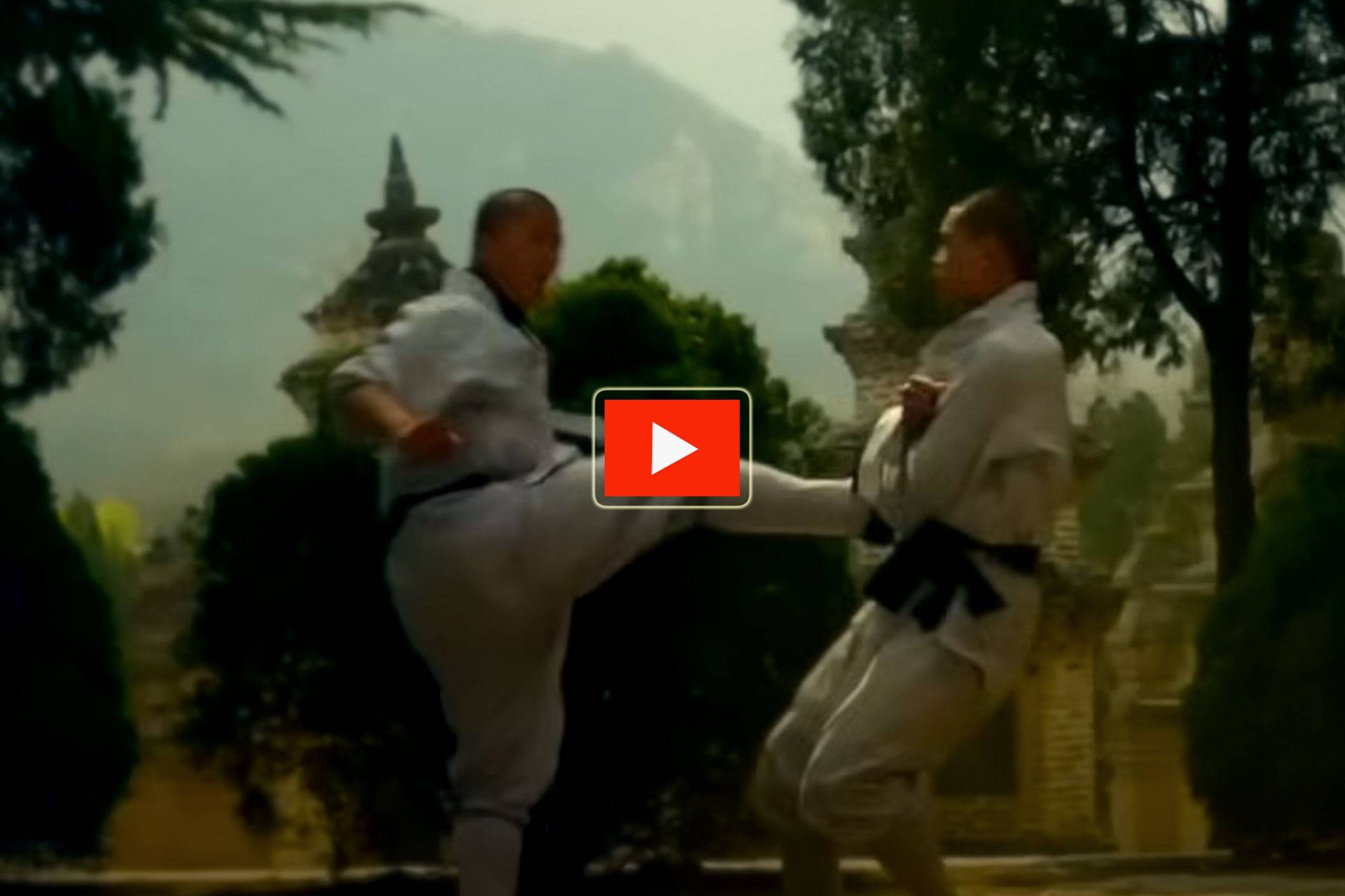 kung fu 2