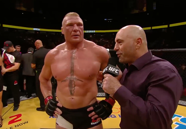 lesnar-63d027575f559