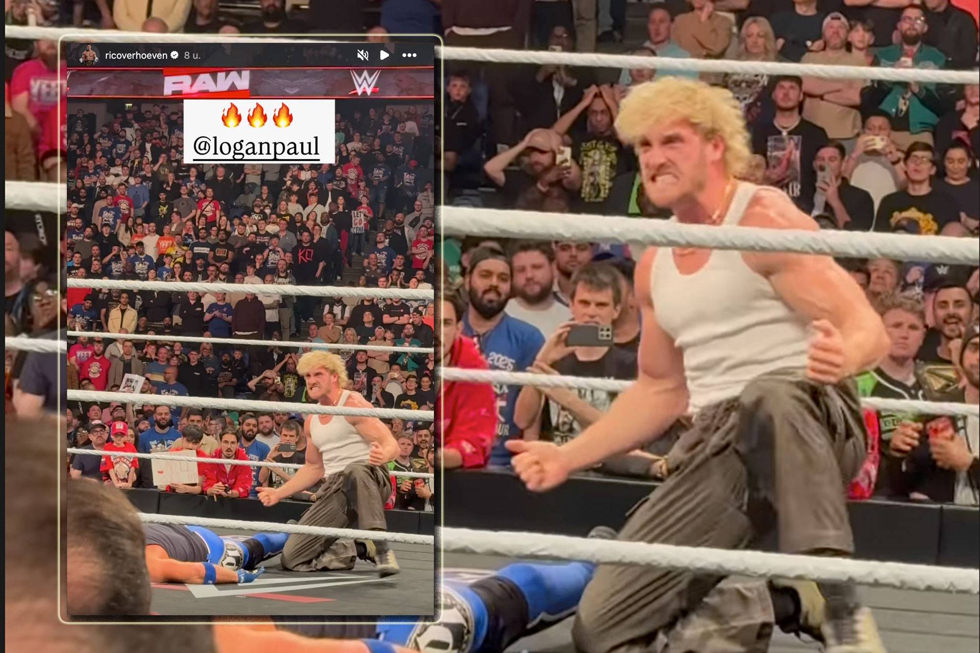 logan paul