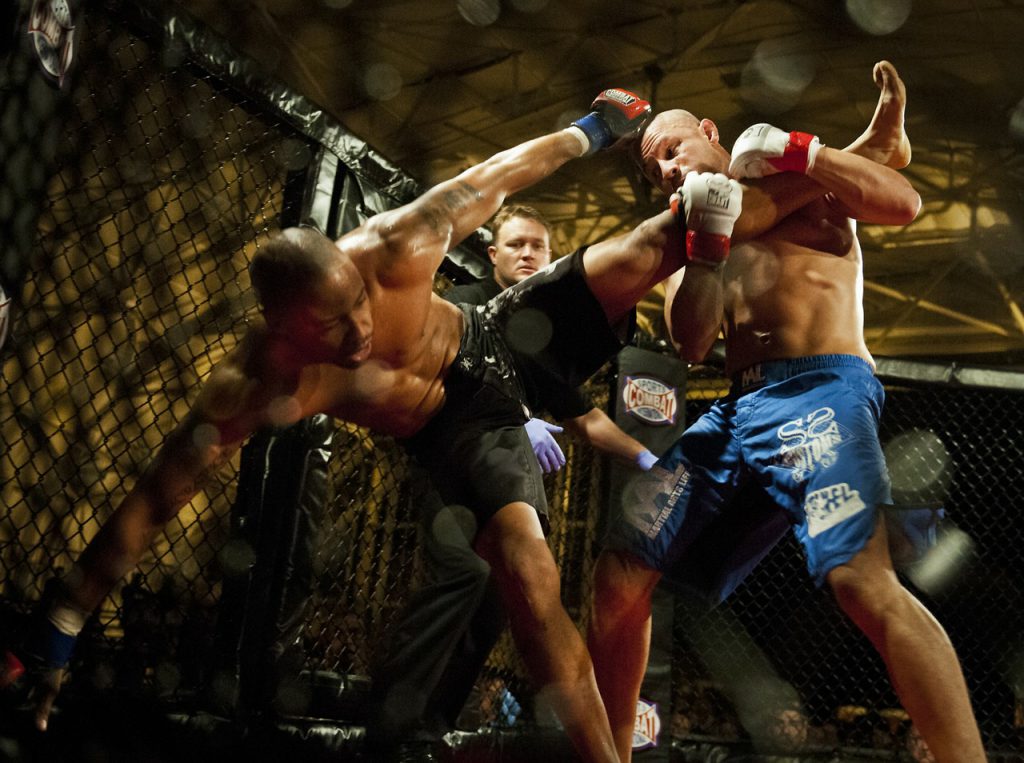 mma-1024×763-63d020f022814