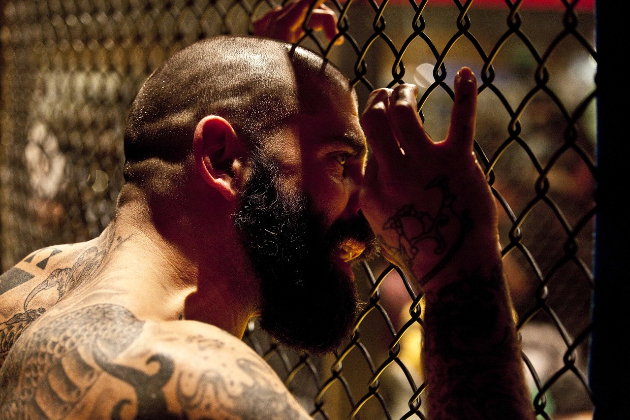 mma-2282013_1280-63d00fb75029d