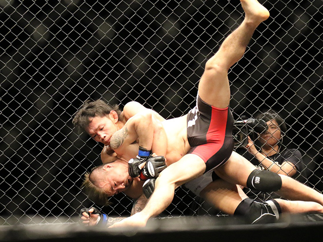 mma-63d01df57d7a0