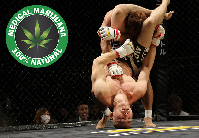 mma-canna-63d021d6306e5