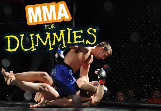mma-dummies-63d026e60c2e8