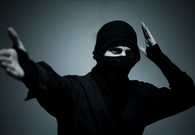 ninjas-tiel-63d028f1ea0a4-1