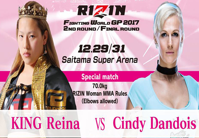 rizin-63d028060f321