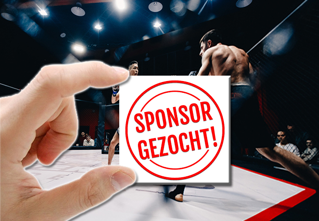sponsor-63d021450b969