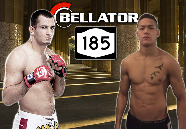 steenis-mousasi-63d028e348861-1