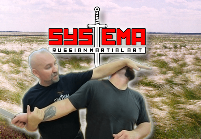 systema-63d029ce3d2bc