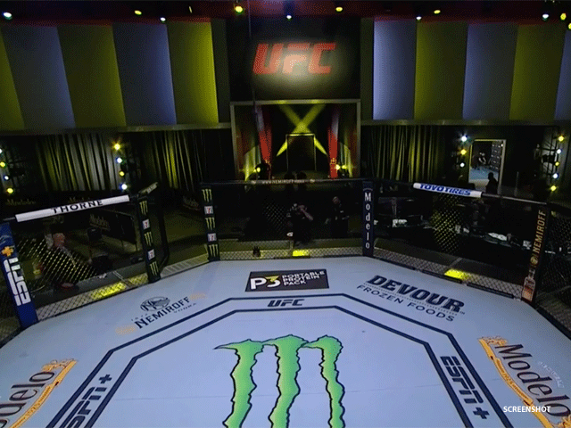 ufc-apex-63d01d446a77a