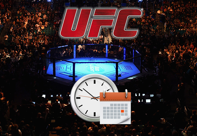 ufc-schema-63d0275918c1c