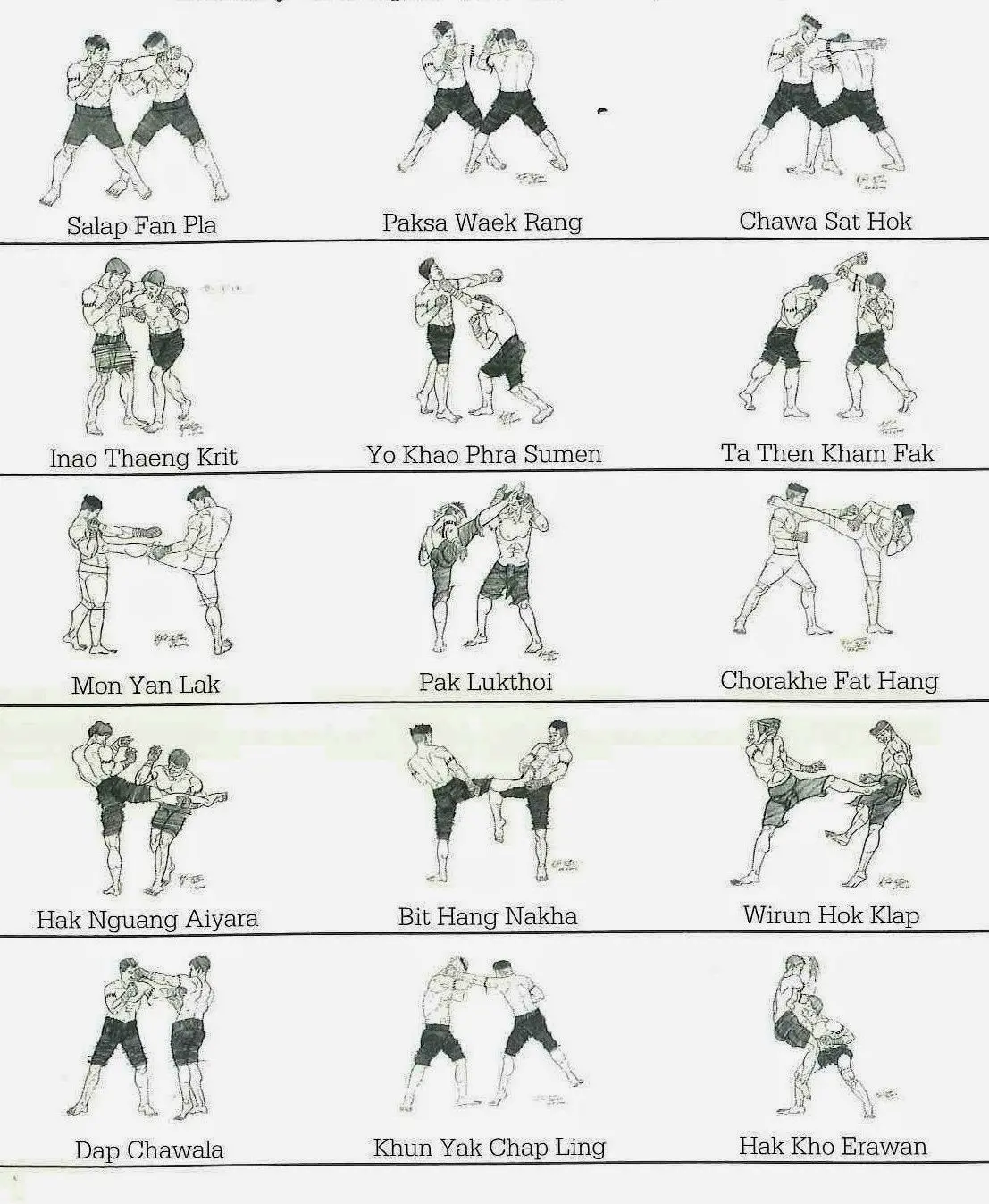 Illustrations of various fighting techniques with labels in a martial arts style.
